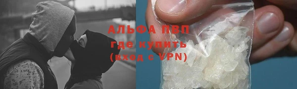 прущие грибы Киреевск