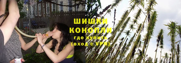 прущие грибы Киреевск