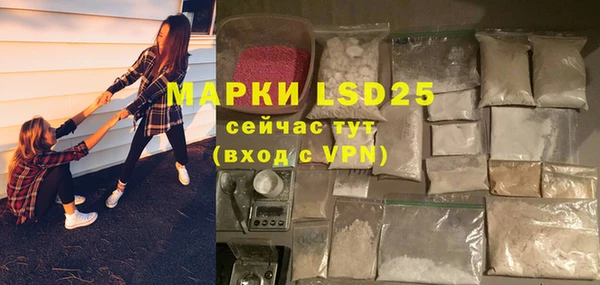 прущие грибы Киреевск