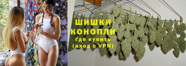 хмурый Карпинск