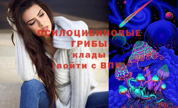 спиды Кинешма